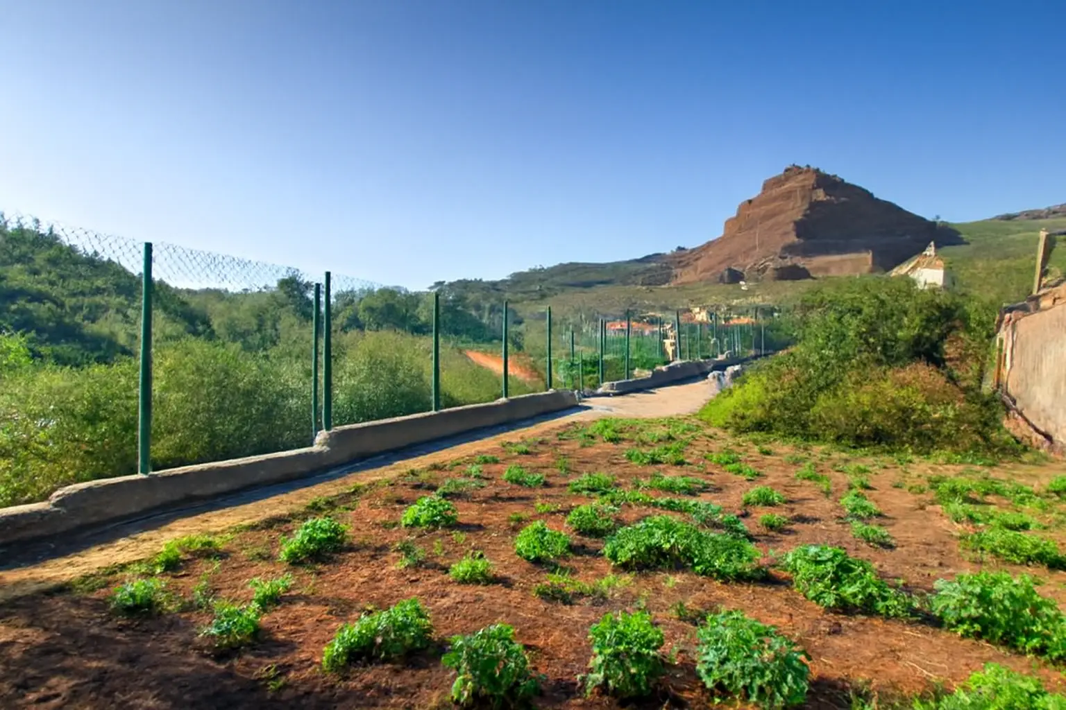 Gemüsebeete der Öko-Finca mit Bergkulisse
